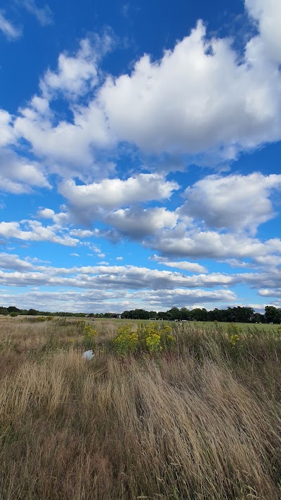 Wanstead Flats